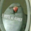 ВыблядOK