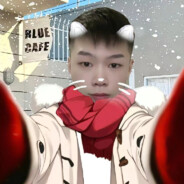 孤独的野狼（成熟稳重