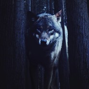 𝔸𝕕𝕣𝕚𝕒𝕟