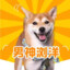 刘洋