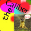 Caliber_the_Weasel