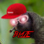 ✔ᵛᵉʳᶦᶠᶦᵉᵈ Blaze