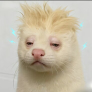 周末不上课