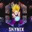 Skynix