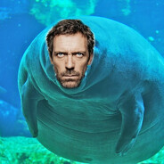 Hugh Manatee
