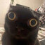 Alex's avatar