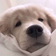 嘻嘻哈哈打游戏