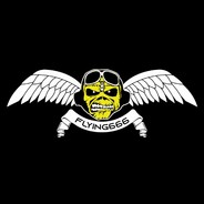 FLYING666