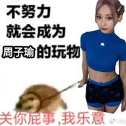 周子瑜的狗