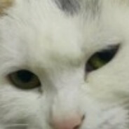 愿人无病药上生尘