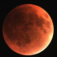 阿布拉多拉的多不多