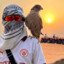 .Falcon&quot;