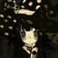 agb's avatar