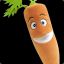 Carrot