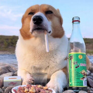 以帅气为枪 以AWP定情击