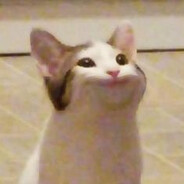 sknTY - steam id 76561199838106674