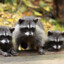 Racoon Army