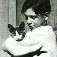 狗的世界下起了小猫