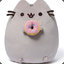 Pusheen with a Donut