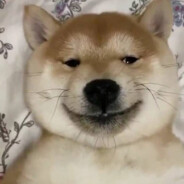 I'm justy passing by