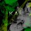 Kai