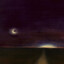 Nightfly
