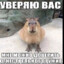 уверяю вас