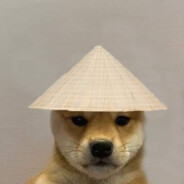 Shibe