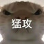 猛攻七八猫
