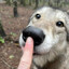 diagnosed with arftism
