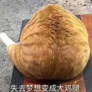 快乐肥宅卡路里