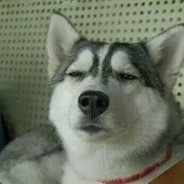 传说没有这个人