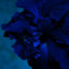 bluvwexx