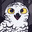 Josh the Owl avatar