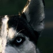 nsqwe - steam id 76561197965959030