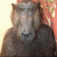 Irfaan