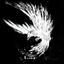 ༺White Raven༻