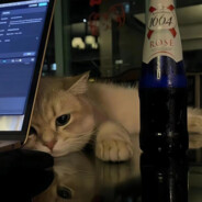 硫酸锌