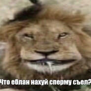 ТИМОФЕЙ БАСКАУЛО