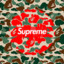 [¨**SUPREME**¨]