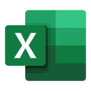 Microsoft Excel 2024