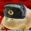 comrade frog