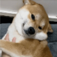 哥听话！不想嫂子知到