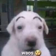 Waos