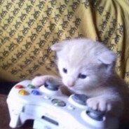 renikz - steam id 76561197970839128