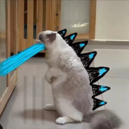 坤难总比办法多