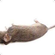 [/T\]lan - steam id 76561197964385519
