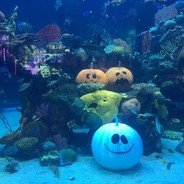 ScaryAquarium