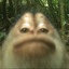 Steckn320XD