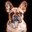 oliver_ray